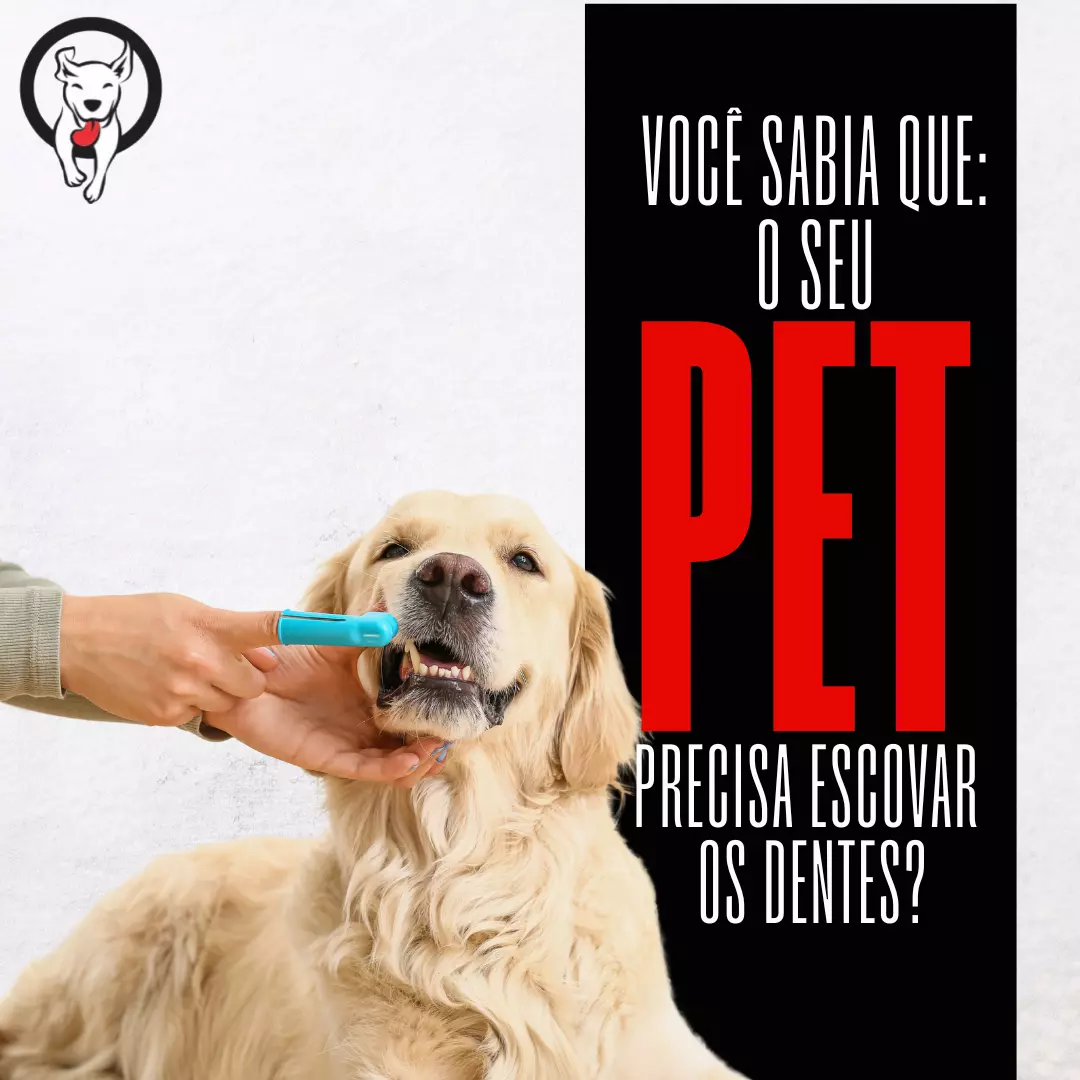 Você sabia que: o seu pet precisa escovar os dentes?